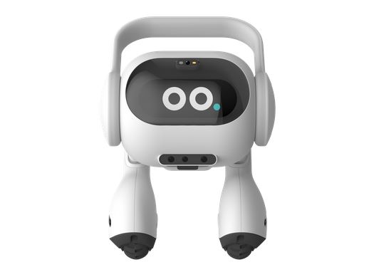 LG presenta il 'Zero Labor Home' con il suo Agente AI per la Casa  Intelligente alla CES 2024